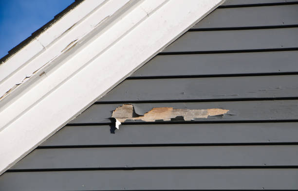 Best Residential Junk Removal  in Meridian Village, CO